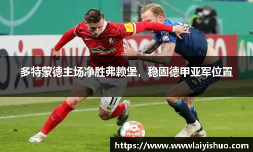 B体育bsports