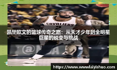 bsports官网