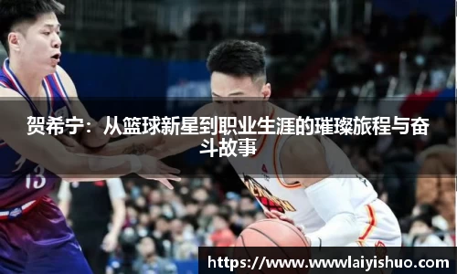 B体育官网