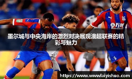 B体育官网