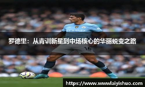 bsports官网入口