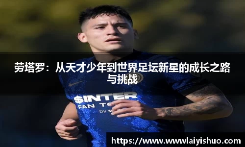 B体育bsports