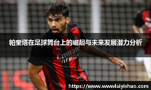 bsports官网入口