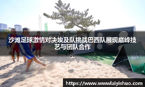bsports官网入口